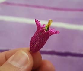 İğne Oyası Çan Çiçeği Modeli